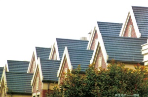 祥生地產(chǎn)-君城案例